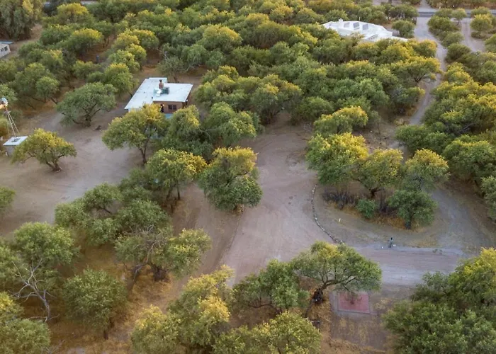 1945 Ranch House, Tanque Verde, 2 Bedroom 1 Ba Holiday home